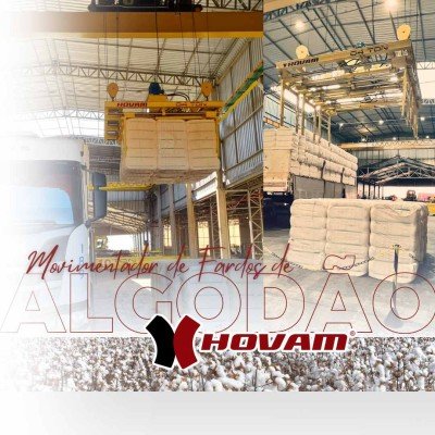 Cotton Day 2023 - Hovam do Brasil e Brado