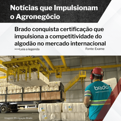 Brado conquista certificação que impulsiona a competitividade do algodão no mercado internacional